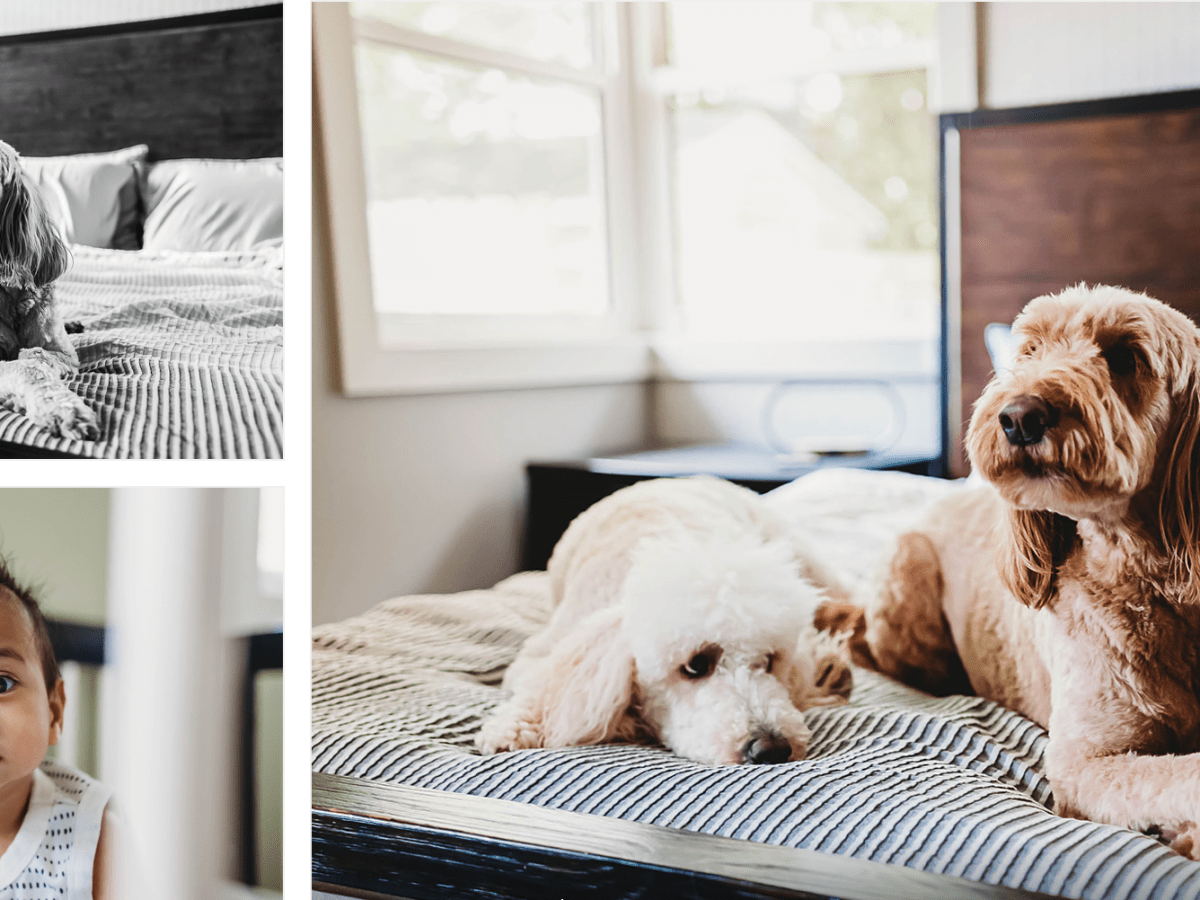 Finding Beauty in the Winter&nbsp;Gloom