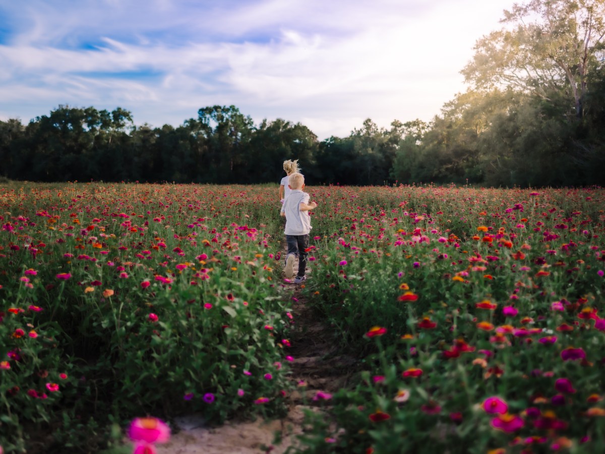 Fall Season is upon us in Pensacola,&nbsp;Florida